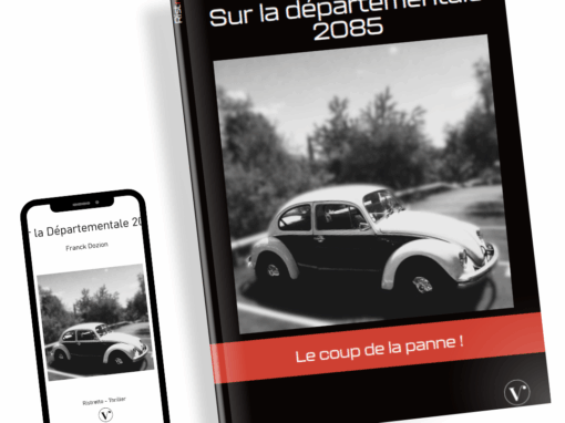 Sur la Départementale 2085